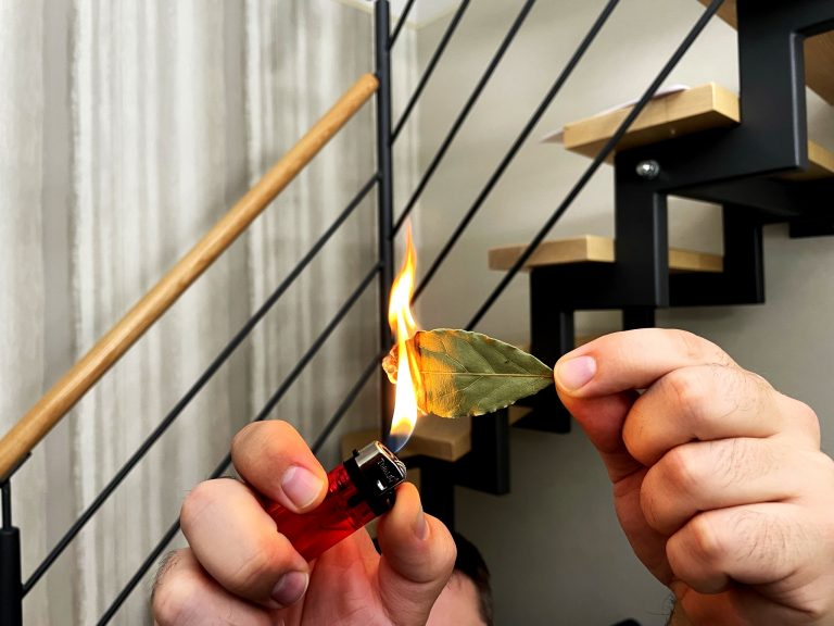 Du glaubst nicht was passiert, wenn du DIESES Blatt anzündest